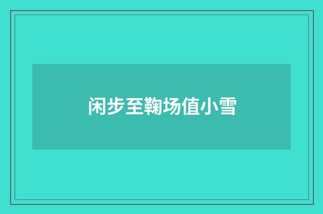 闲步至鞠场值小雪