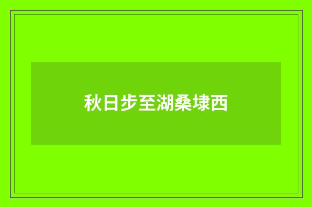 秋日步至湖桑埭西