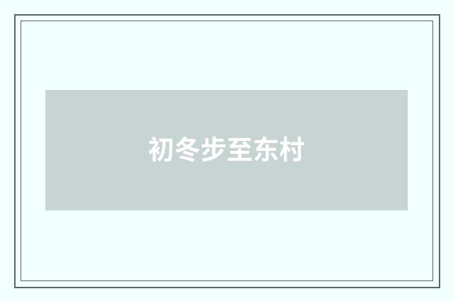初冬步至东村