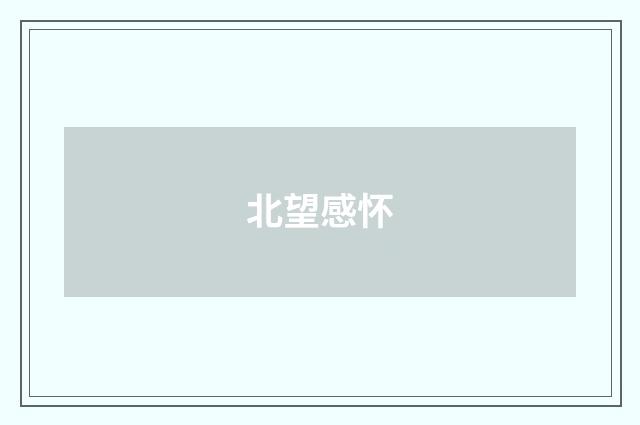 北望感怀