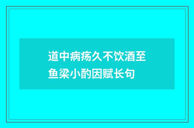 道中病疡久不饮酒至鱼梁小酌因赋长句