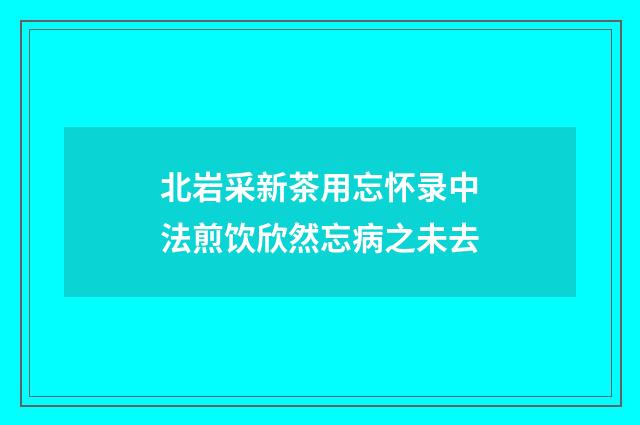 北岩采新茶用忘怀录中法煎饮欣然忘病之未去
