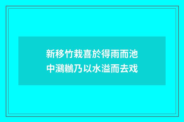 新移竹栽喜於得雨而池中鸂鶒乃以水溢而去戏