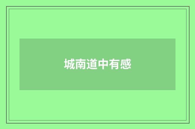 城南道中有感