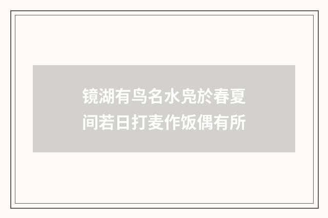 镜湖有鸟名水凫於春夏间若日打麦作饭偶有所
