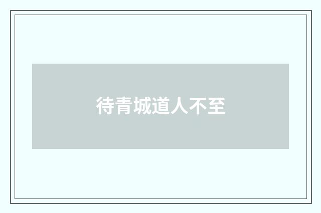 待青城道人不至