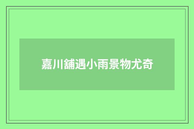 嘉川舖遇小雨景物尤奇