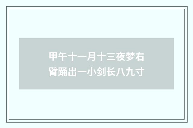 甲午十一月十三夜梦右臂踊出一小剑长八九寸