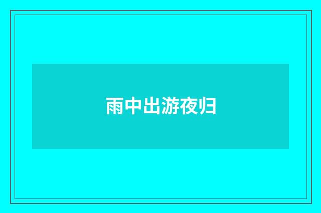 雨中出游夜归