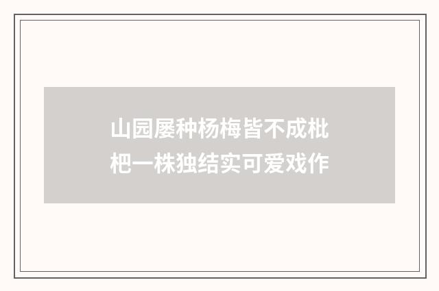山园屡种杨梅皆不成枇杷一株独结实可爱戏作