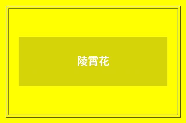 陵霄花