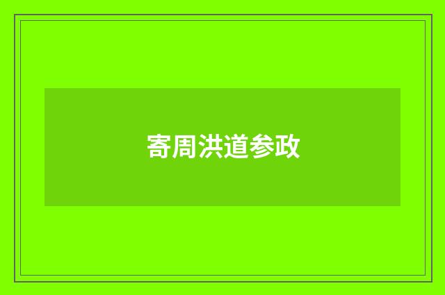 寄周洪道参政
