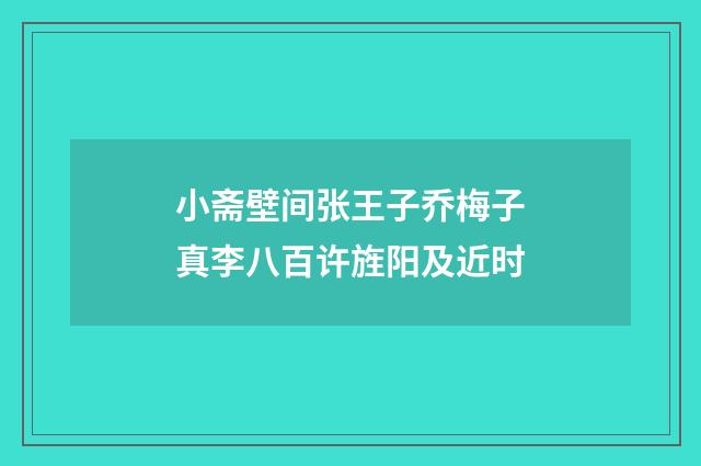 小斋壁间张王子乔梅子真李八百许旌阳及近时