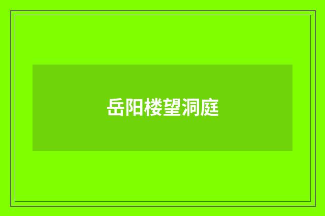 岳阳楼望洞庭