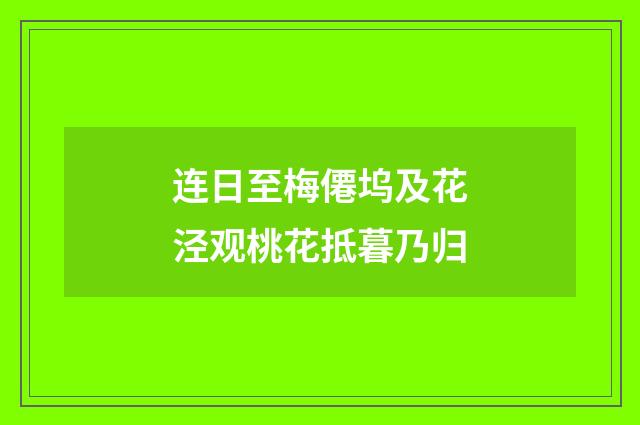 连日至梅僊坞及花泾观桃花抵暮乃归
