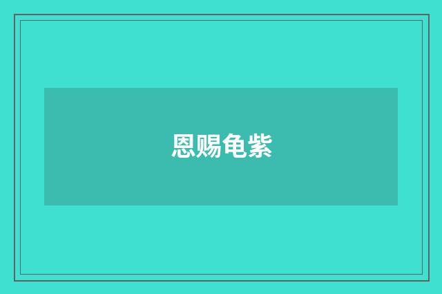 恩赐龟紫