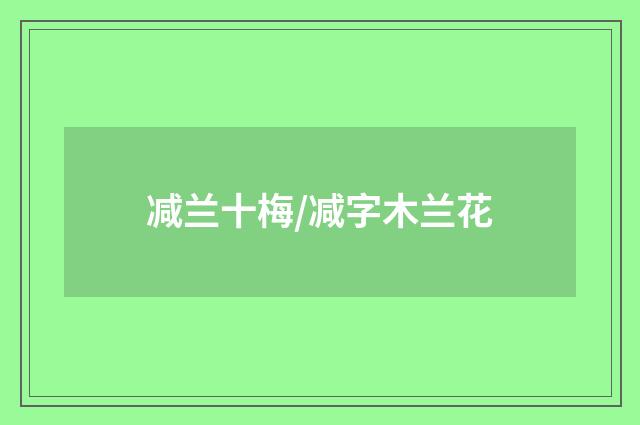 减兰十梅/减字木兰花