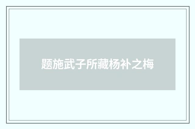 题施武子所藏杨补之梅