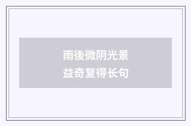 雨後微阴光景益奇复得长句