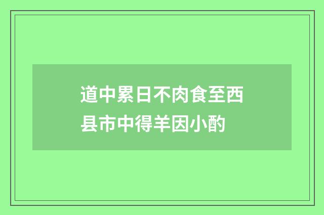 道中累日不肉食至西县市中得羊因小酌