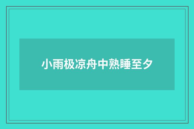 小雨极凉舟中熟睡至夕