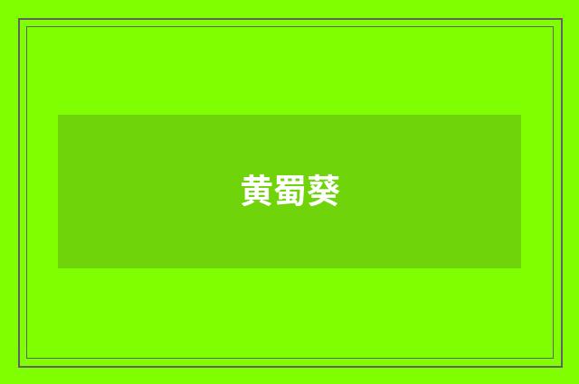 黄蜀葵