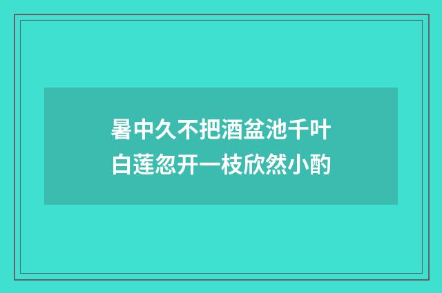 暑中久不把酒盆池千叶白莲忽开一枝欣然小酌