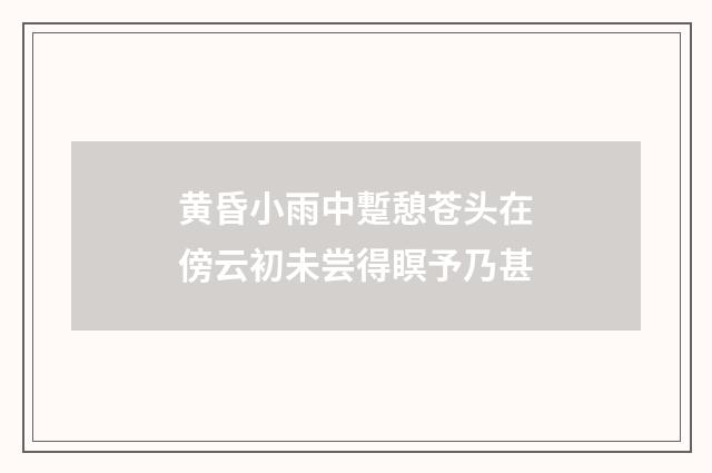 黄昏小雨中蹔憩苍头在傍云初未尝得瞑予乃甚