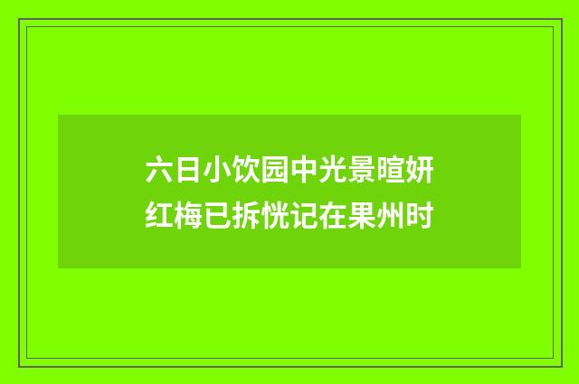 六日小饮园中光景暄妍红梅已拆恍记在果州时
