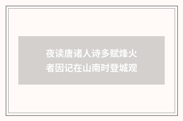 夜读唐诸人诗多赋烽火者因记在山南时登城观