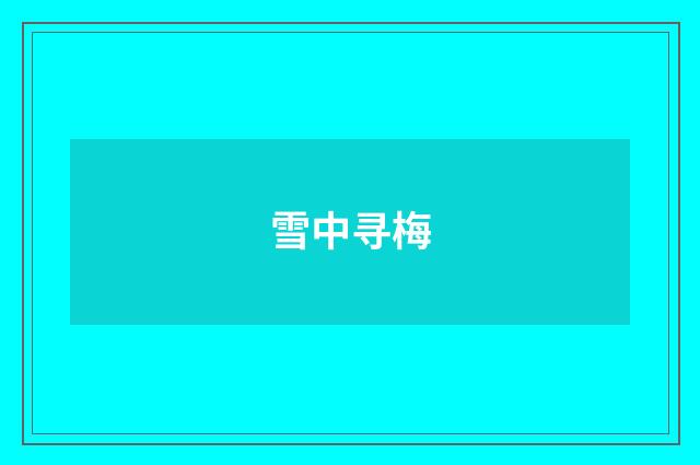 雪中寻梅