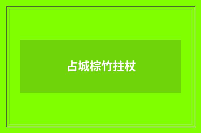 占城棕竹拄杖