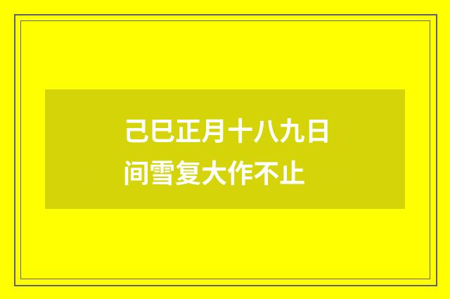 己巳正月十八九日间雪复大作不止