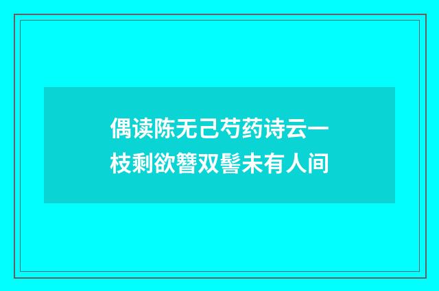 偶读陈无己芍药诗云一枝剩欲簪双髻未有人间