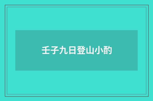壬子九日登山小酌