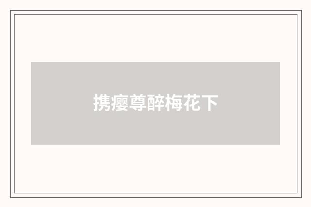 携瘿尊醉梅花下