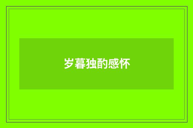 岁暮独酌感怀