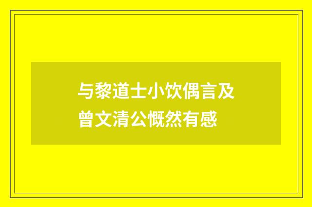 与黎道士小饮偶言及曾文清公慨然有感