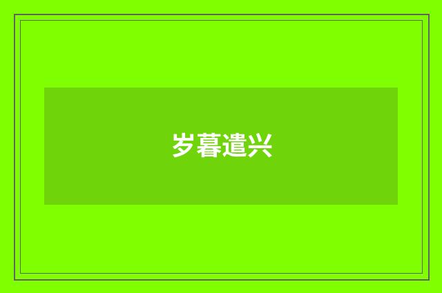 岁暮遣兴
