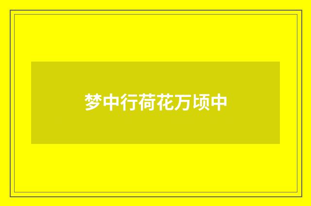 梦中行荷花万顷中