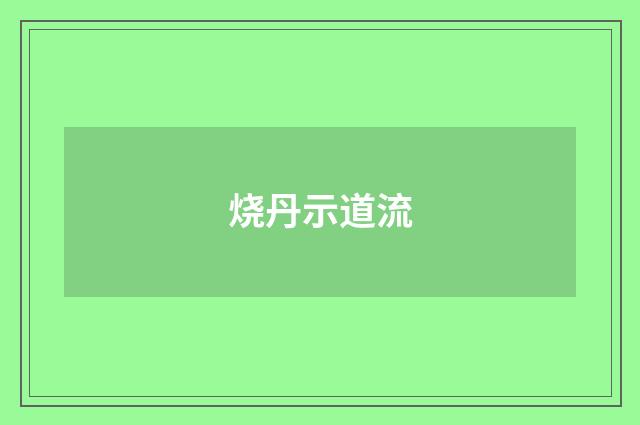 烧丹示道流