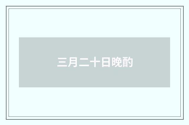 三月二十日晚酌