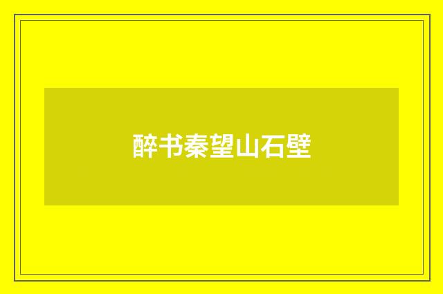 醉书秦望山石壁