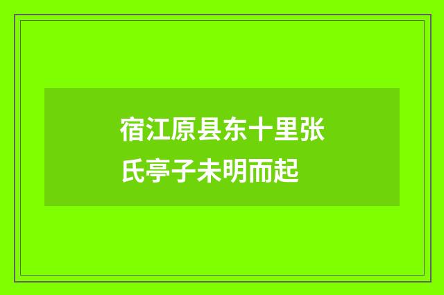 宿江原县东十里张氏亭子未明而起