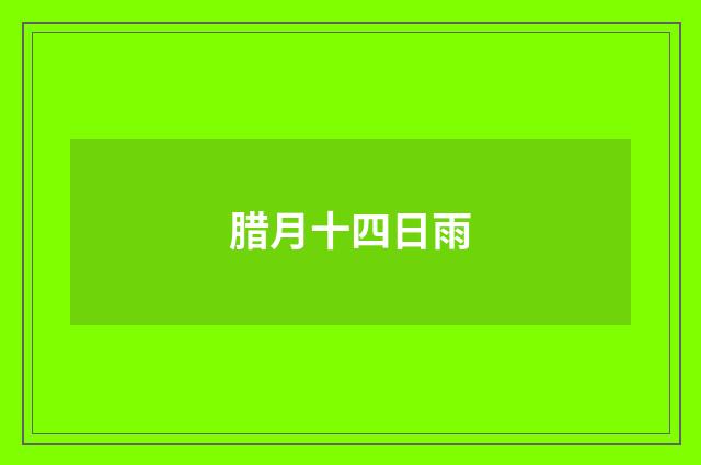 腊月十四日雨