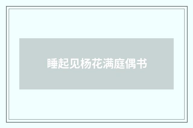 睡起见杨花满庭偶书