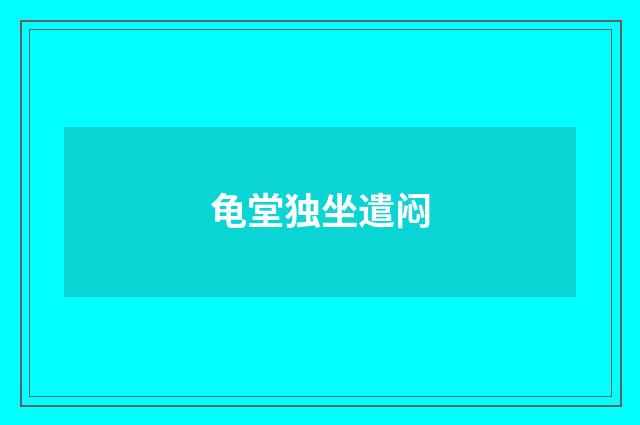 龟堂独坐遣闷