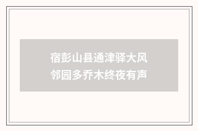 宿彭山县通津驿大风邻园多乔木终夜有声