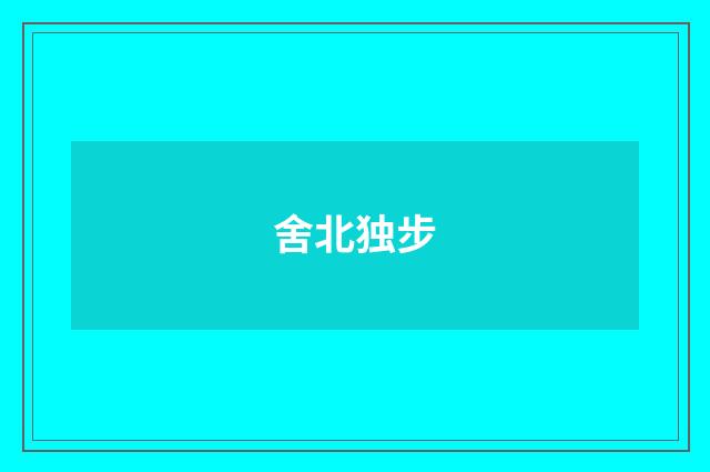 舍北独步
