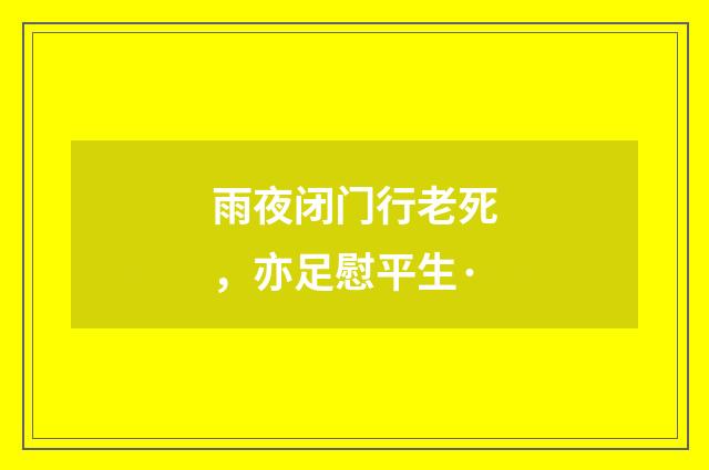 雨夜闭门行老死，亦足慰平生·
